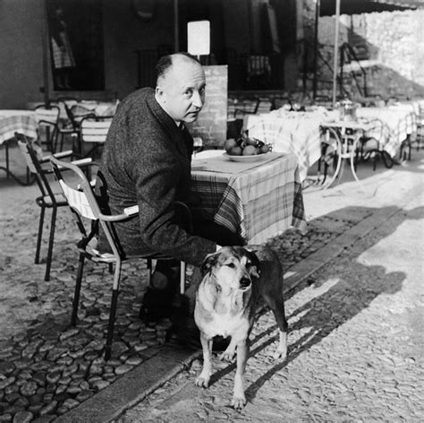 christian Dior pet dog